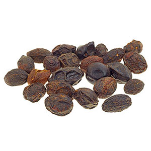 PalmettoGuard Saw Palmetto image