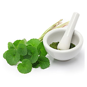 Gotu Kola extract encourages arterial plaque stability