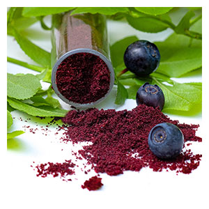 Compounds in blueberry support cognitive health