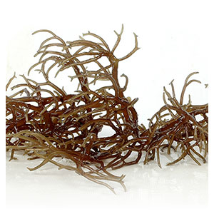 What is the benefit of alginic acid