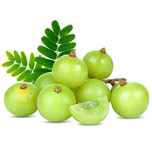 Amla is an extract of Indian gooseberry promotes endothelial health