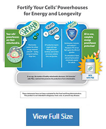 Mitochondrial Energy Optimizer with PQQ chart