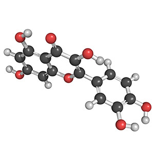 What is ubiquinone CoQ10