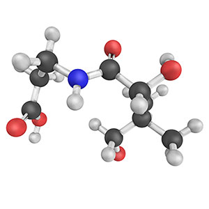 BioActive Complete B-Complex what is pantothenic acid