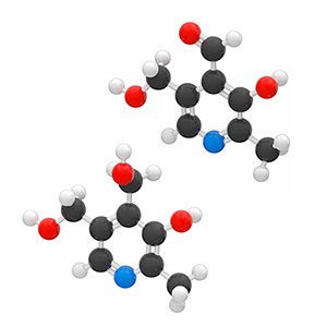 BioActive Complete B-Complex add why we add pyridoxine and pyridoxal