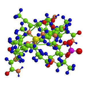 Vitamin B12 supports nerve cell growth and heart health