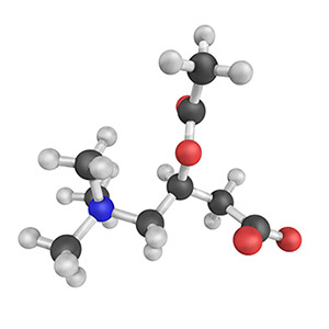 Acetyl-L-Carnitine Arginate Benefits