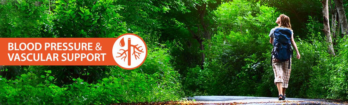Blood Pressure & Vascular Support