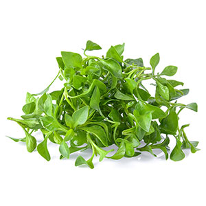 Watercress is a leafy green vegetable