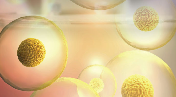 Treating Degenerative Diseases with Cell-Regenerating Exosomes