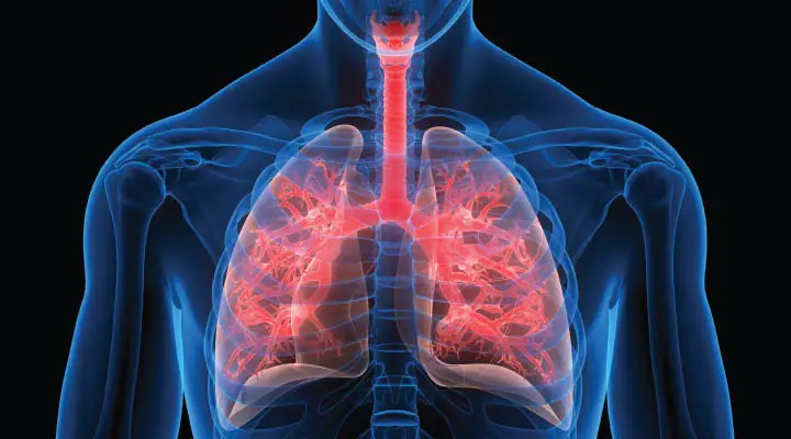 Probiotic Linked To Fewer Upper Respiratory Tract Symptoms