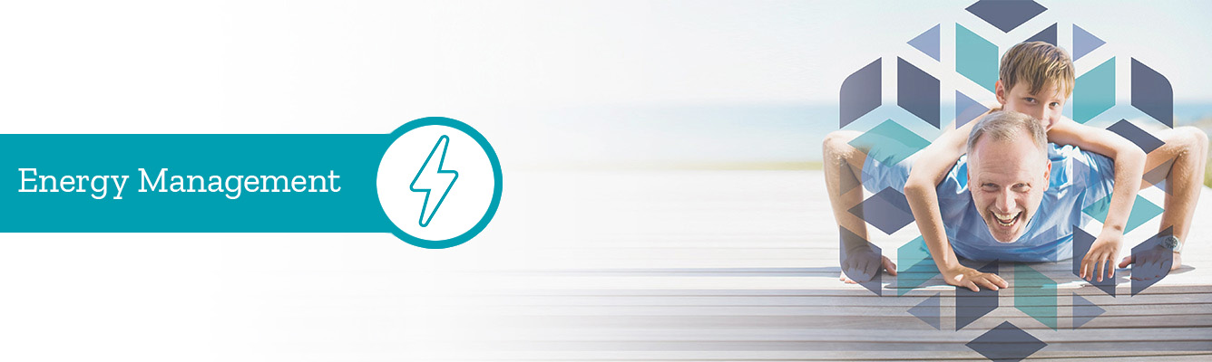 Energy Management Supplements