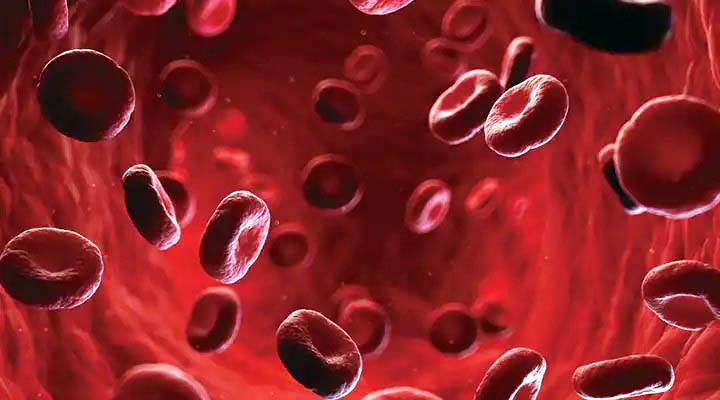 Tea May Protect Against Coronary Artery Disease