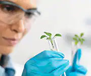 nutrient bioavailability