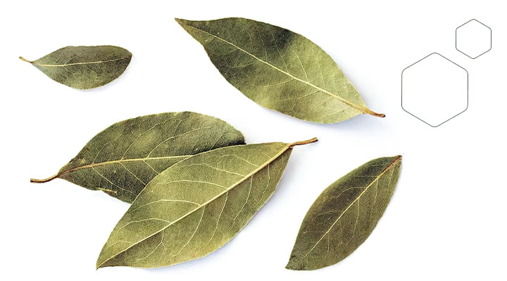 this month feature Superfood, Bay Leaves